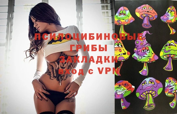 тгк Алексеевка