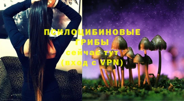 прущие крисы Алзамай