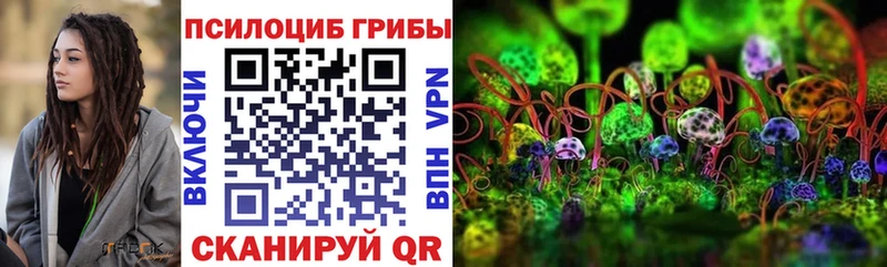 мега зеркало  где продают наркотики  Игарка  Галлюциногенные грибы MAGIC MUSHROOMS 